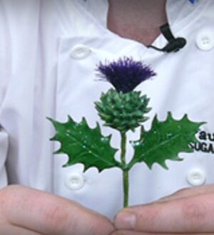 Picture of sugar Scottish thistle