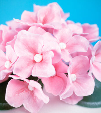 Hydrangea Flowers cake tutorial