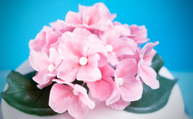 Hydrangea Flowers cake tutorial