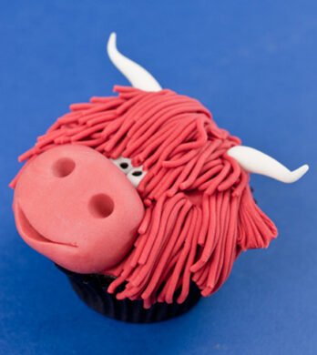 Hamish Cupcake
