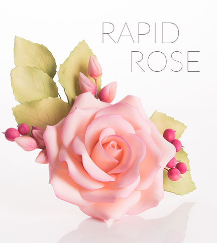 Rapid rose