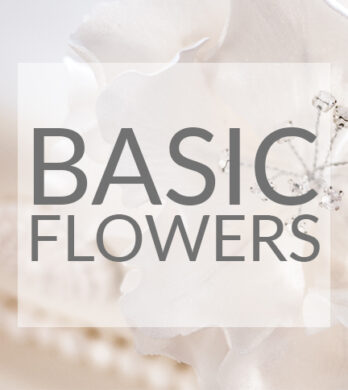 Basic sugar flowers tutorial