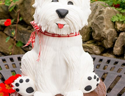 Westie Terrier Dog