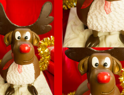 Picture of rudolph cake