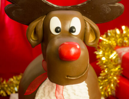 Picture of rudolph cake