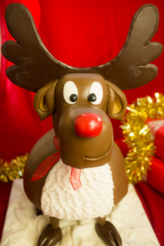 Picture of rudolph cake