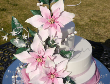 Picture of poinsettia flower cake