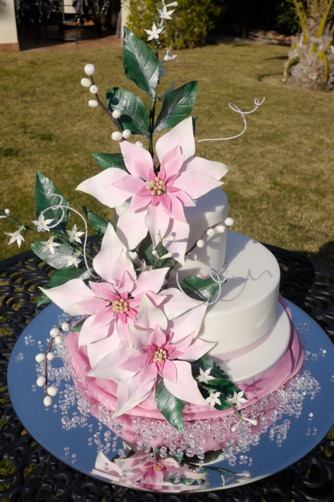 Picture of poinsettia flower cake