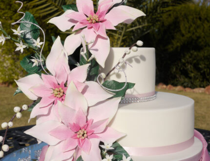 Picture of poinsettia flower cake