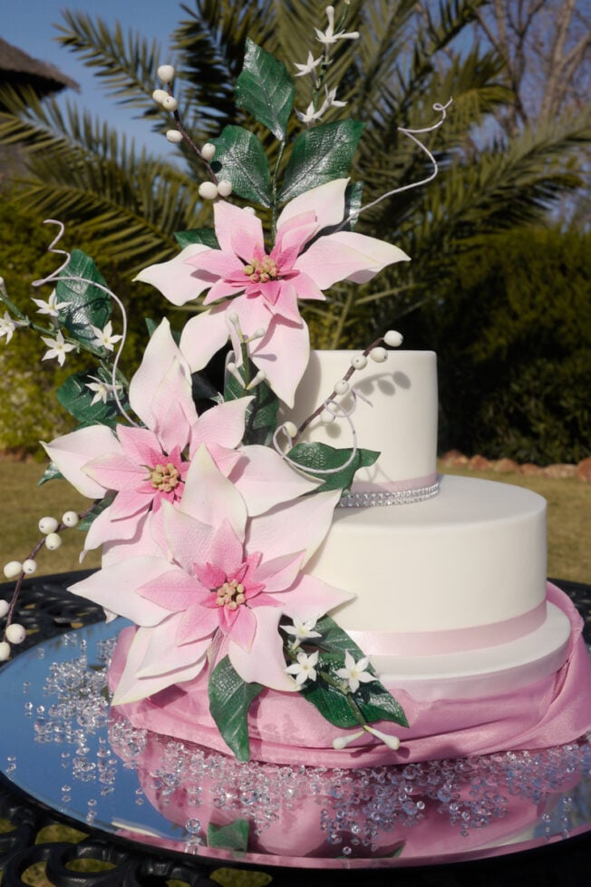 Picture of poinsettia flower cake