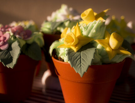 Close up of edible mini flower potd