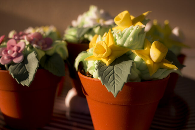Close up of edible mini flower potd