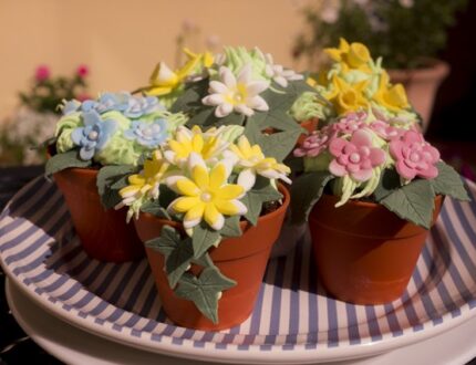Picture of mini edible flower pots