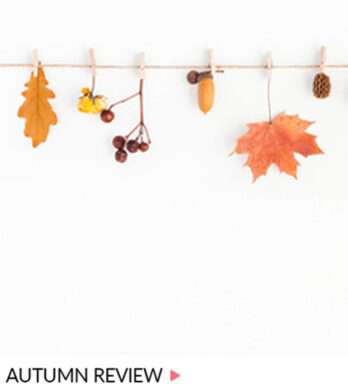 Autumn Review