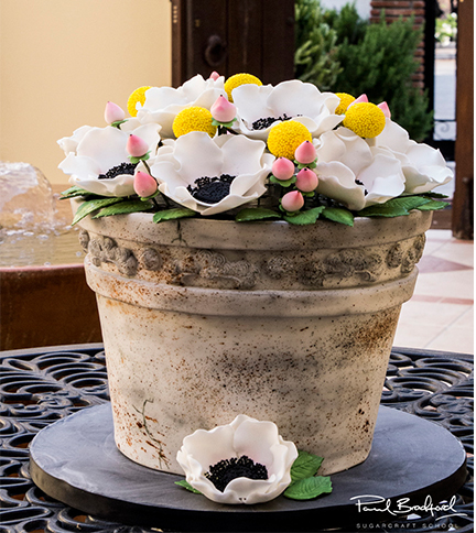 flower pot cake