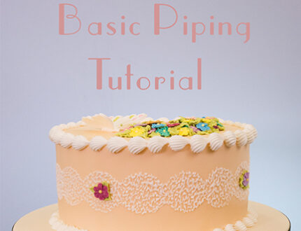 Basic Piping Techniques