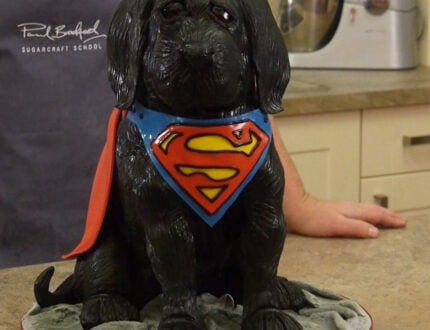 3D Dog Cake | Superdog