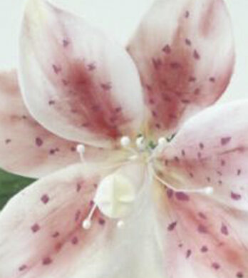 Stargazer Lily Sugar Flower Tutorial