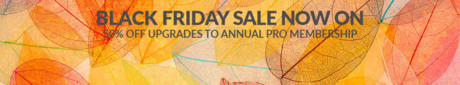 Sale discount to Pro