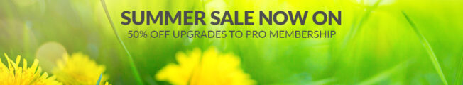 Upgrade to Pro