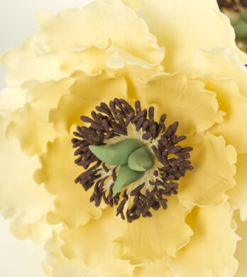 Peony Sugar Flower Tutorial | CakeFlix