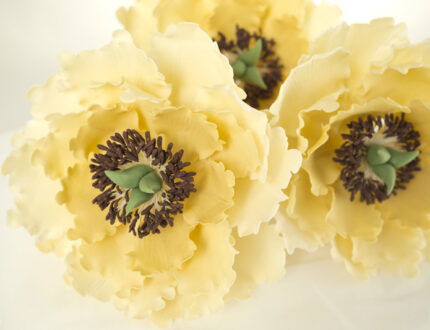 Peony Sugar Flower Tutorial | CakeFlix