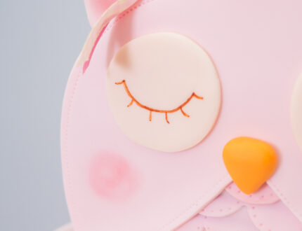 Owl Handbag Cake Tutorial