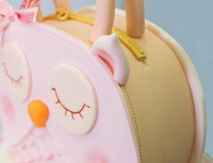 Owl Handbag Cake Tutorial