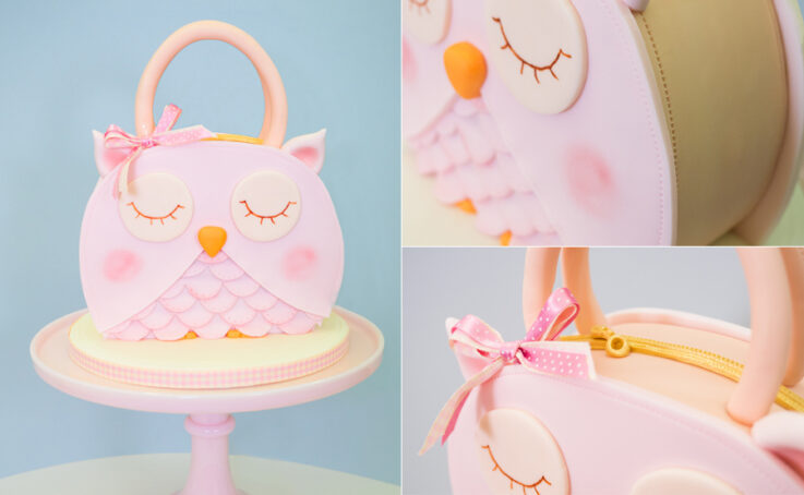 Owl Handbag Cake Tutorial