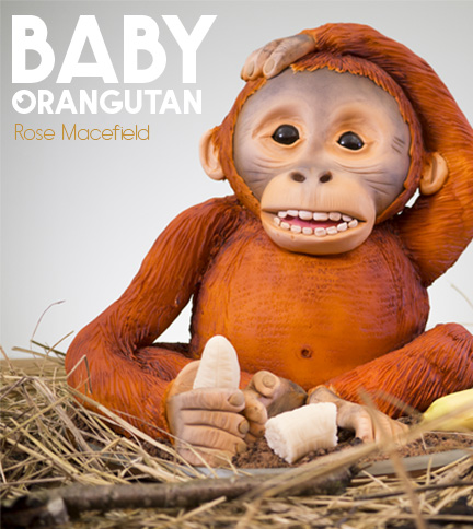 Baby Orangutan