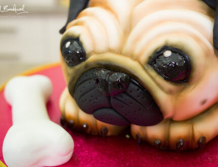 Pug Dog cake tutorial on CakeFlix by Molly Robbins