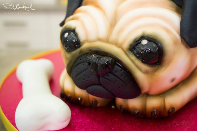 Pug Dog cake tutorial on CakeFlix by Molly Robbins