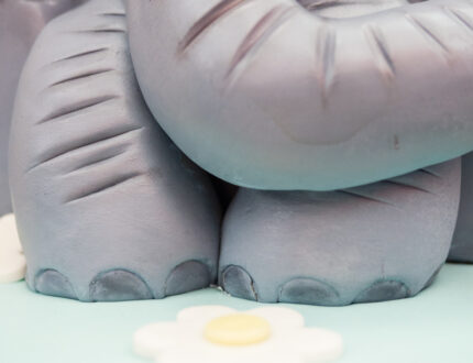 Baby Elephant cake decorating tutorial