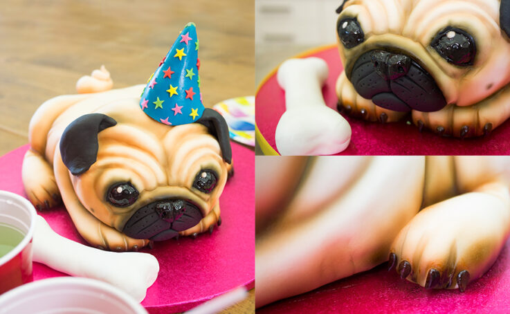 Pug Dog cake tutorial on CakeFlix by Molly Robbins