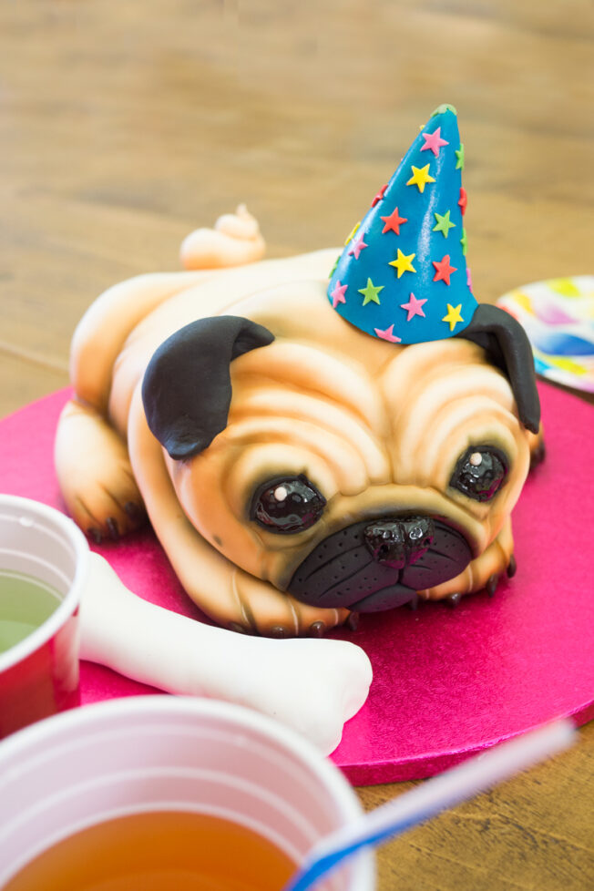 Pug Dog cake tutorial on CakeFlix by Molly Robbins