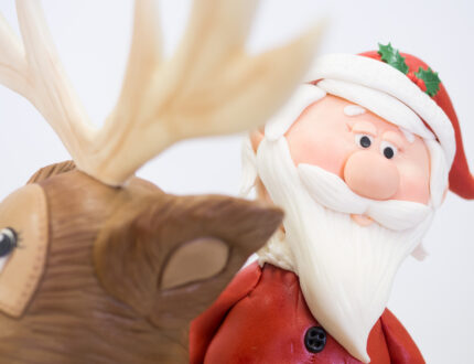 Close up of Santa's Face