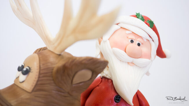 Close up of Santa's Face