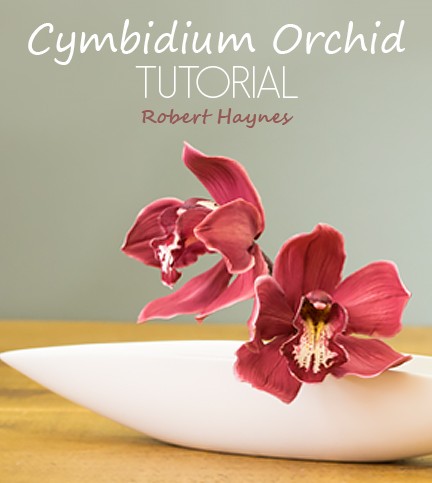 Cymbidium Orchid Sugar Flower