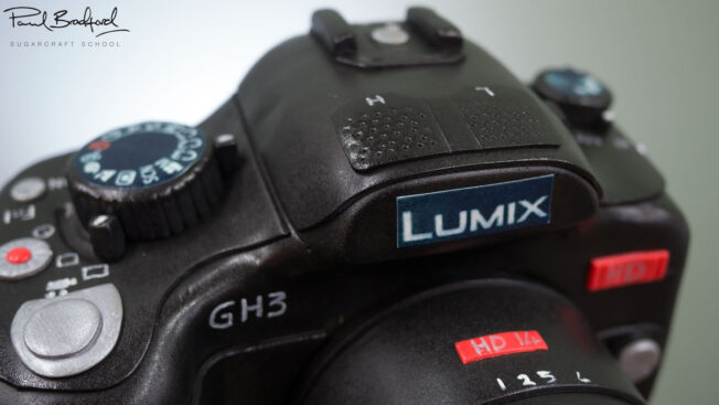 Close Up picture of camera cake