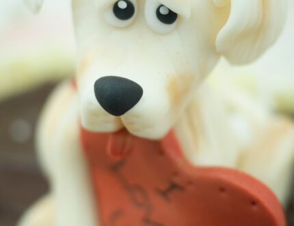 Close up of modelled dog's face