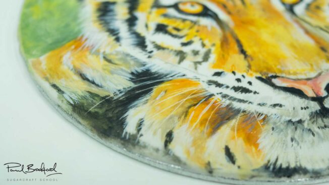 Close up of tiger painting