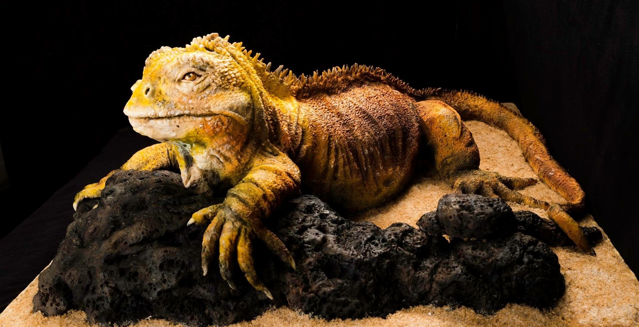 Sculpted Cakes - Land Iguana