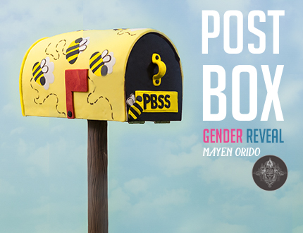 Post Box Gender Reveal