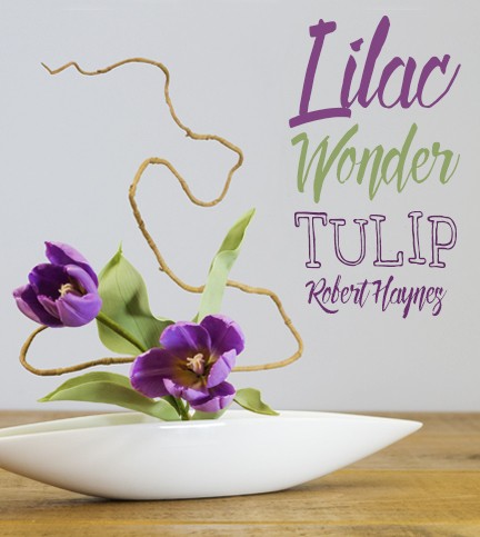 Lilac Wonder Tulip Sugar Flower