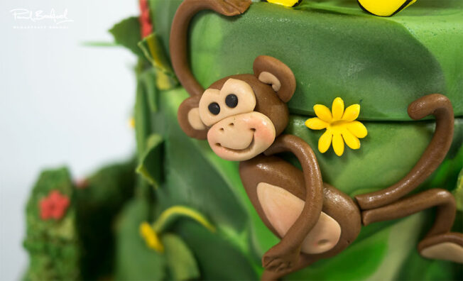 Close-up-of-Monkey