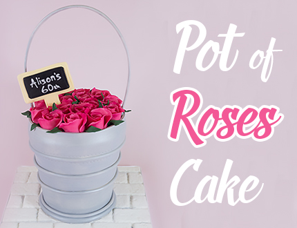 Pot of Roses