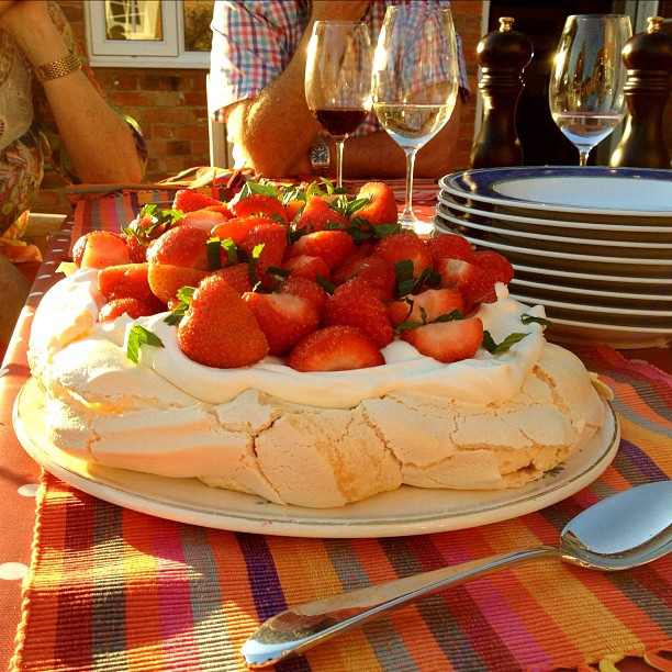 pavlova1