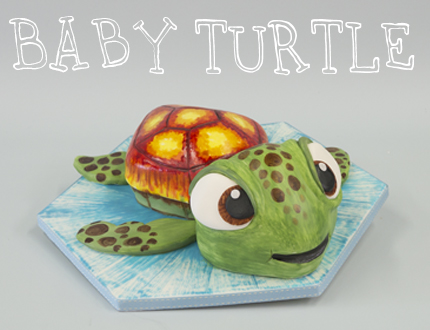 Baby Turtle
