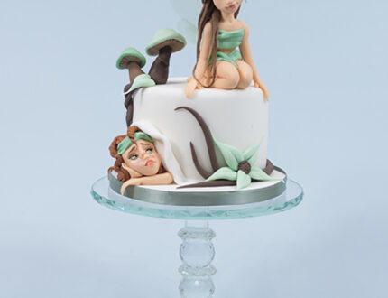 Picture of model fairy cake