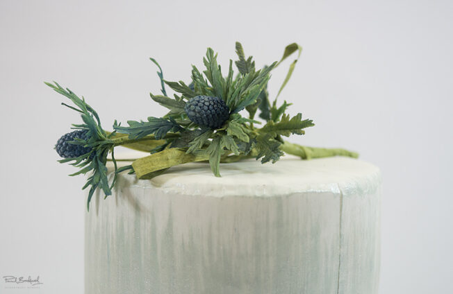 Close up of sea holly sugar flowers